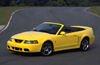 2003 Ford Mustang SVT Cobra Picture